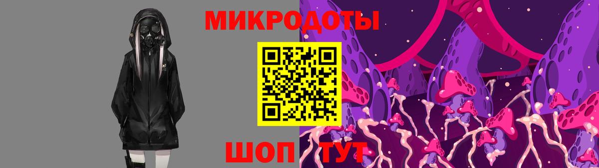 Дальнегорск  Псилоцибиновые грибы Cubensis  Вход с VPN 